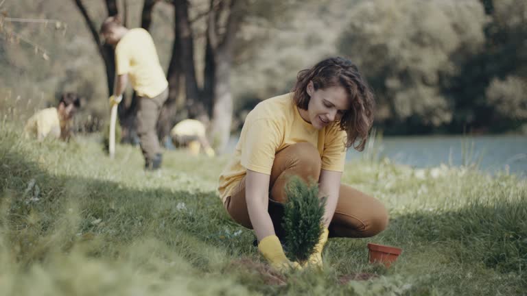 Best Stump Grinding and Removal  in Sale Creek, TN